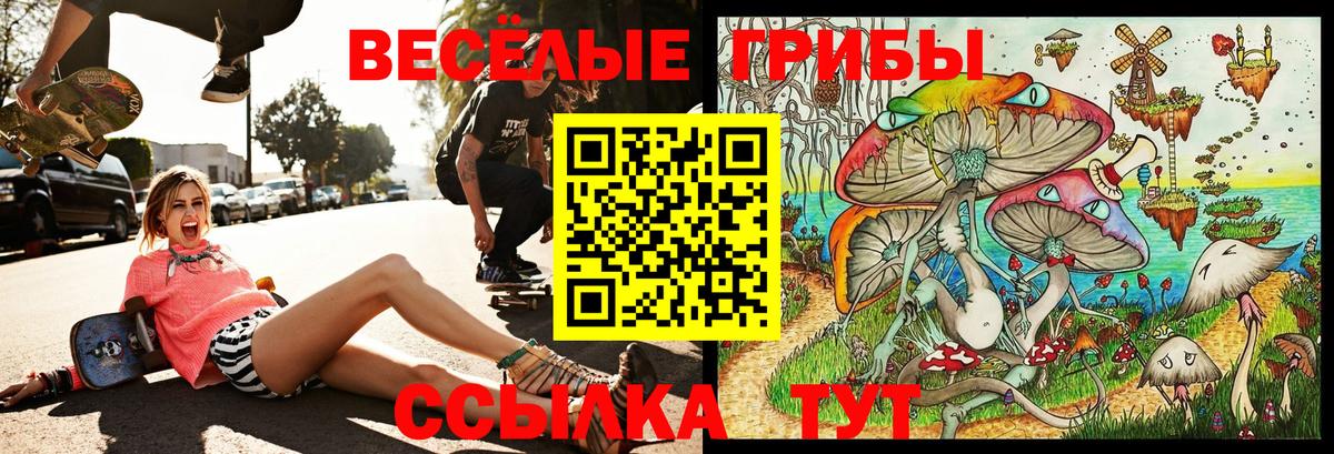Галлюциногенные грибы мухоморы  Вход с VPN  Псилоцибиновые грибы Psilocybe  Ейск 