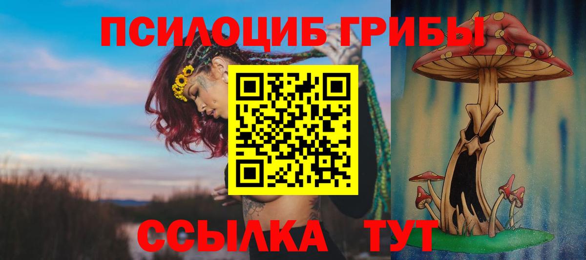 Псилоцибиновые грибы прущие грибы Ейск